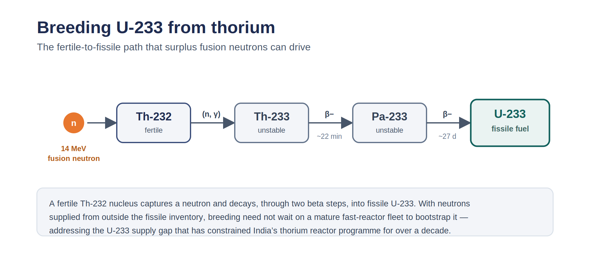 The thorium breeding chain: Th-232 captures a neutron to become Th-233, which beta-decays through Pa-233 into fissile U-233.