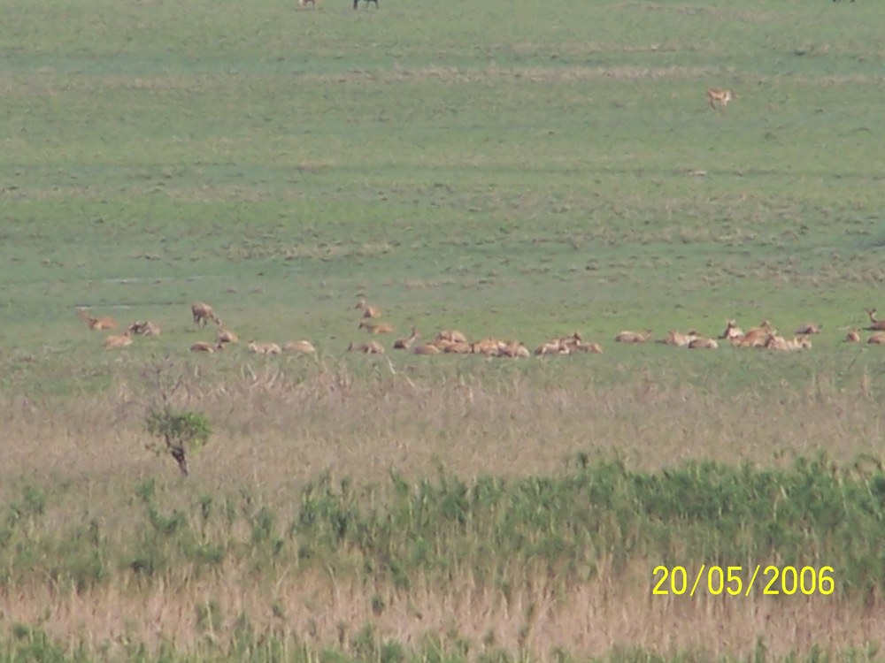 On a field visit during those days, May 2006